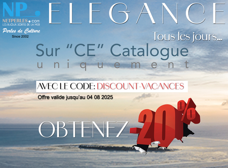 ANNONCE D UNE PROMOTION DE 20_100 sur ce catalogue Livraison rapide